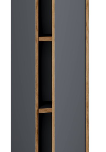 VCM NORDIC Salia B30 Büroregal, mit 1 Tür und 2 verstellbaren Böden - Anthrazitgrau und Naturholz