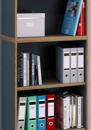 VCM NORDIC Salia B60 Büroregal mit 3 verstellbaren Böden - Anthrazitgrau und Naturholz