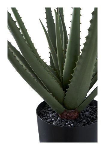 HOUSE NORDIC Aloe Vera kunstig plante - grnn PE-plast (H:51cm)