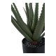 HOUSE NORDIC Aloe Vera kunstig plante - grnn PE-plast (H:51cm)