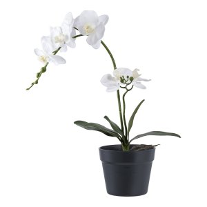 HOUSE NORDIC Orkid kunstig plante - hvid og grn PE plastik (H:49cm)
