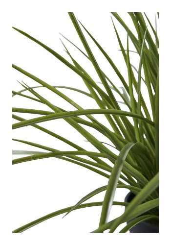 HOUSE NORDIC Kunstig plante i gress - grnn PE-plast (H:45 cm)