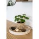 HOUSE NORDIC Pelia kunstig plante - grnn PE-plast (H:28cm)
