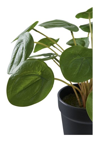 HOUSE NORDIC Pelia kunstig plante - grnn PE-plast (H:28cm)