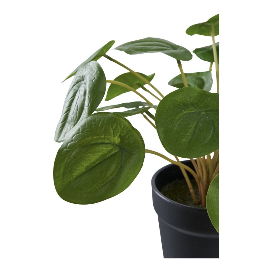 HOUSE NORDIC Pelia kunstig plante - grnn PE-plast (H:28cm)