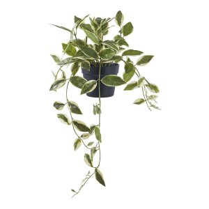 HOUSE NORDIC Voksblomst kunstig plante - grn PE plastik (H:33cm)