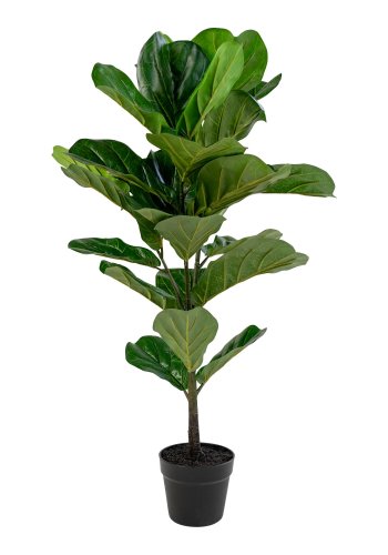 HOUSE NORDIC künstliche Farnwedelpflanze - grüner Kunststoff (H:100)