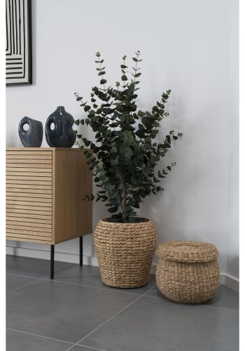 HOUSE NORDIC Kunstig plante i eukalyptus - grnn PE-plast, polyester, stltrd, sement (H:120 cm)