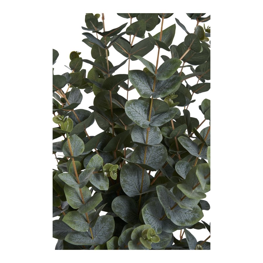 HOUSE NORDIC Kunstig plante i eukalyptus - grnn PE-plast, polyester, stltrd, sement (H:120 cm)