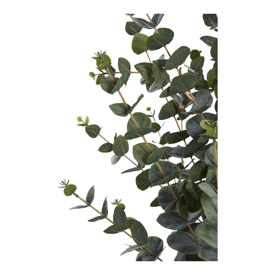 HOUSE NORDIC Kunstig plante i eukalyptus - grnn PE-plast, polyester, stltrd, sement (H:120 cm)