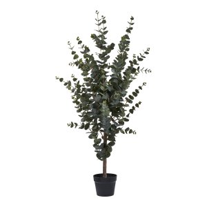 HOUSE NORDIC Eukalyptus tr kunstig plante - grn PE plastik, polyester, stltrd, cement (H:120cm)