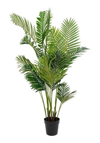 HOUSE NORDIC künstliche Areca-Palme – grüner Kunststoff und Polyester (H:175)