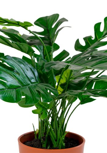 HOUSE NORDIC kunstig Monstera-plante - grnn plast og polyester (H:45)
