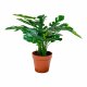HOUSE NORDIC kunstig Monstera-plante - grnn plast og polyester (H:45)