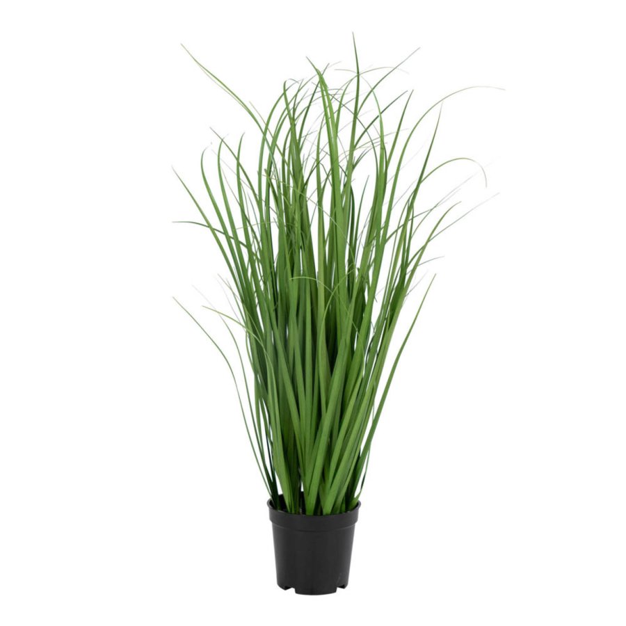HOUSE NORDIC Poa Grass kunstig plante - grnn PE plast (H:68)