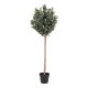 HOUSE NORDIC Oliventre kunstig plante - grnn PE plast (H:150)