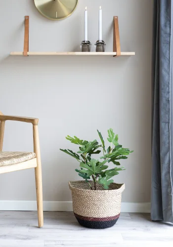 HOUSE NORDIC kunstig fikentreplante - grnn plast (H:53)