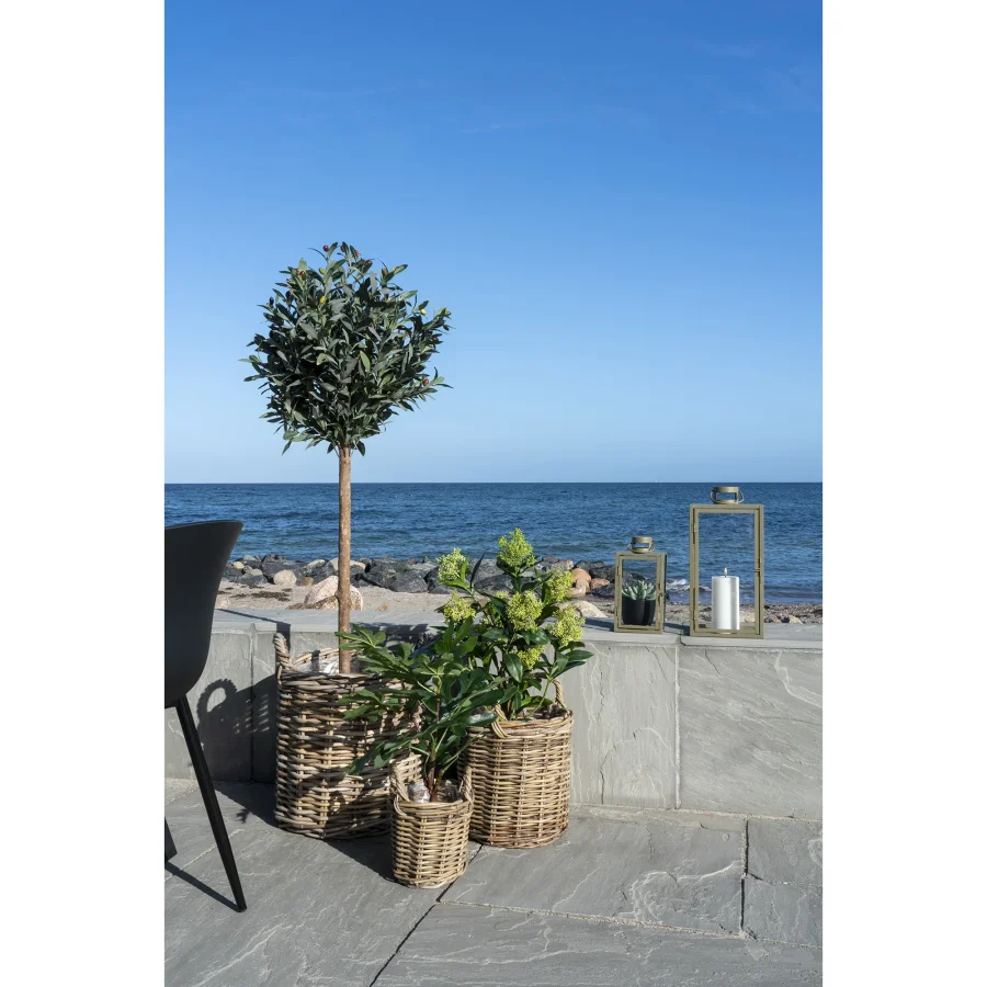 HOUSE NORDIC kunstig Skimmia Treplante - grnn plast (H:75)