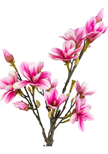 HOUSE NORDIC künstliche Magnolienpflanze – grüner und rosa Kunststoff (H:75)