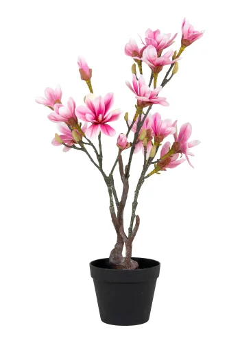 HOUSE NORDIC künstliche Magnolienpflanze – grüner und rosa Kunststoff (H:75)