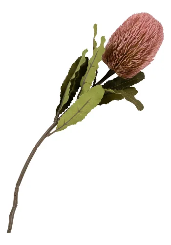 HOUSE NORDIC King Protea bukett med kunstige blomster, miks - rosa plast (H:74)