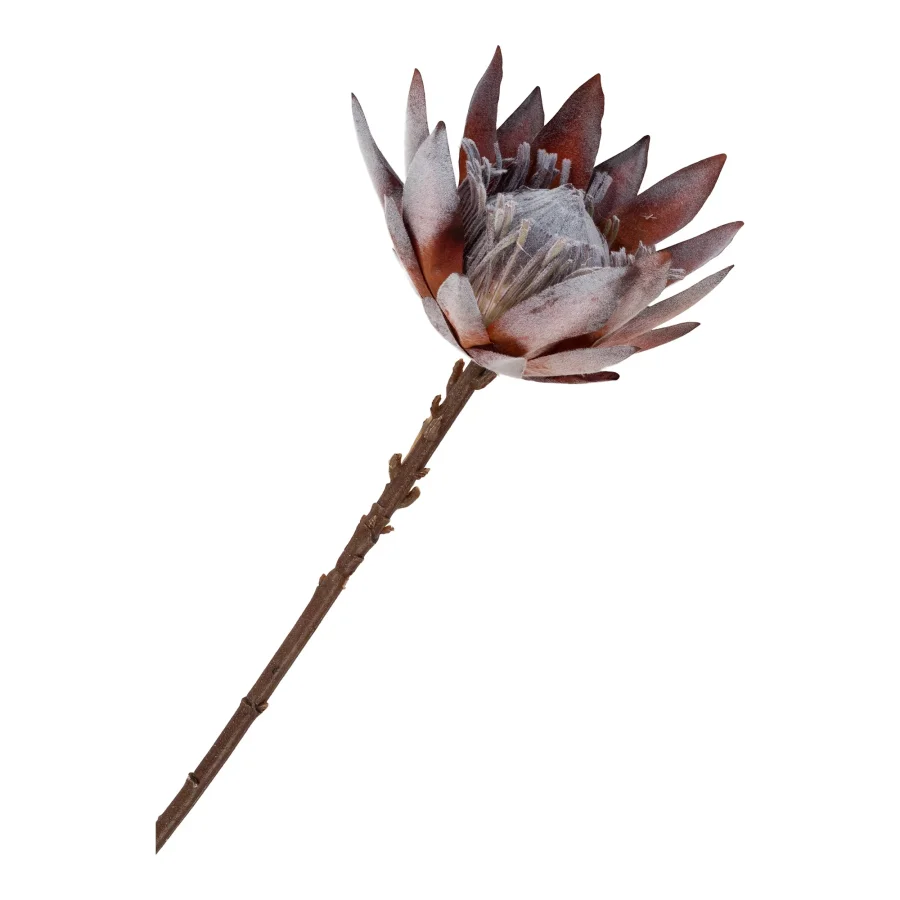 HOUSE NORDIC King Protea bukett med kunstige blomster, miks - rosa plast (H:74)