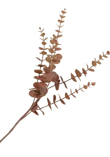 HOUSE NORDIC King Protea bukett med kunstige blomster, blanding - bordeaux plast (H:65)