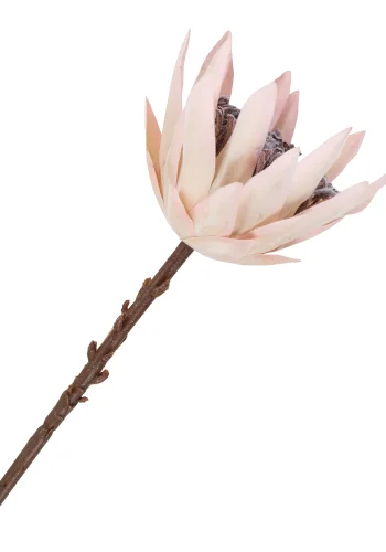 HOUSE NORDIC King Protea bukett med kunstige blomster, blanding - bordeaux plast (H:65)