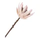 HOUSE NORDIC King Protea bukett med kunstige blomster, blanding - bordeaux plast (H:65)