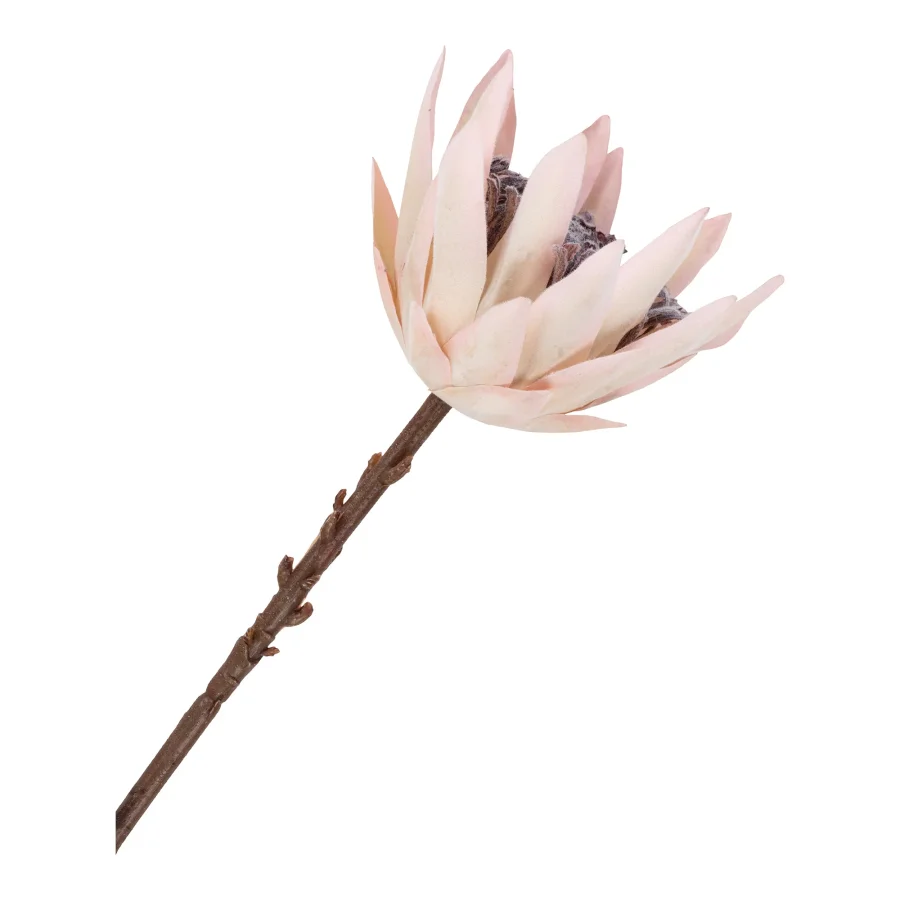 HOUSE NORDIC King Protea bukett med kunstige blomster, blanding - bordeaux plast (H:65)