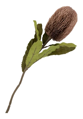 HOUSE NORDIC King Protea bukett med kunstige blomster, blanding - bordeaux plast (H:65)