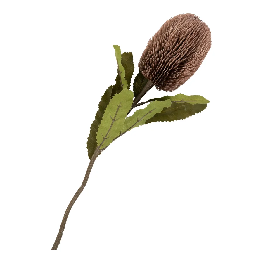 HOUSE NORDIC King Protea bukett med kunstige blomster, blanding - bordeaux plast (H:65)