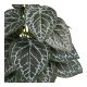 HOUSE NORDIC�kunstig plante - gr�n plastik (H:33)