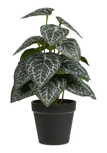 HOUSE NORDIC�kunstig plante - gr�n plastik (H:33)