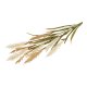 HOUSE NORDIC�kunstig deko gr�s, m. 2 stilke - beige og sand plastik (H130)