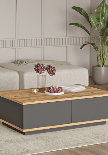 NORDVRK FR14-AA salongbord, med 2 drer - rektangulr - natur og antrasittgr melamin (90x60)