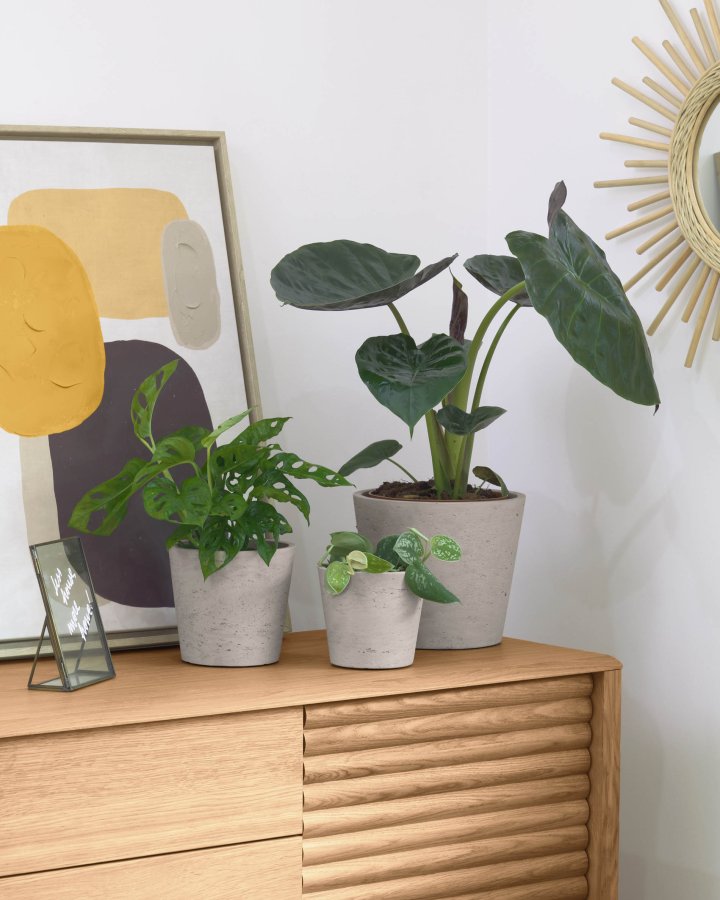 KAVE HOME Lav krukke, rund - gr sement (sett med 3)