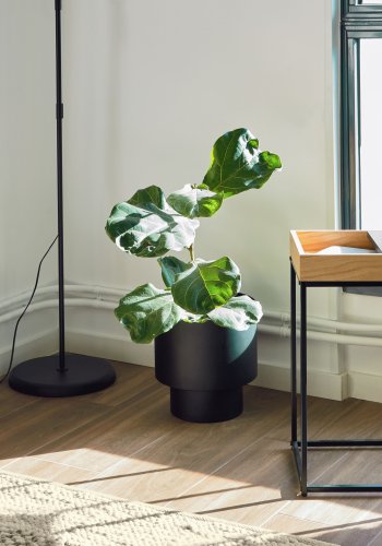 KAVE HOME Mash sort metall plantekasse  28 cm