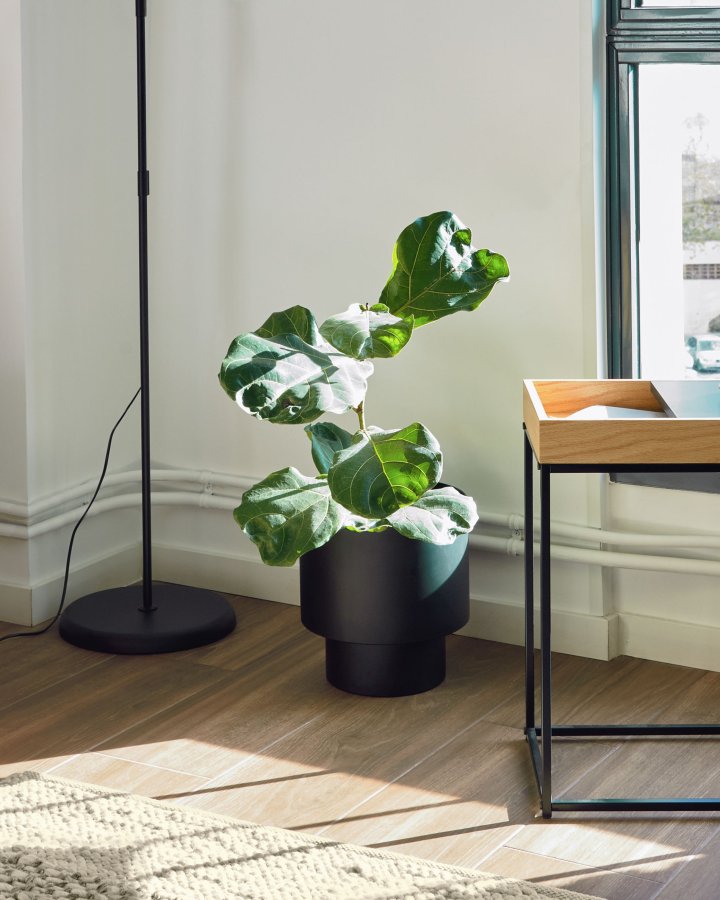 KAVE HOME Mash sort metall plantekasse  28 cm