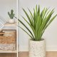 KAVE HOME Yucca kunstig plante