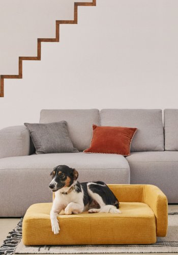 KAVE HOME Bowie-trekk til stor hundekurv - sennepsgult stoff