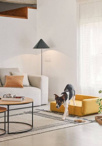 KAVE HOME Bowie hundekurv, stor, rektangulr - sennepsgul stof (70x96)