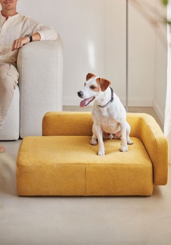 KAVE HOME Bowie trekk til liten hundekurv - sennepsgult stoff