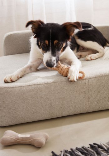 KAVE HOME Bowie-trekk til stor hundekurv - beige stoff