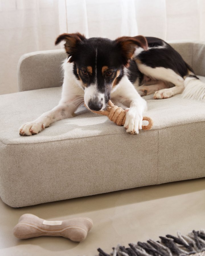 KAVE HOME Bowie-trekk til stor hundekurv - beige stoff