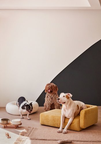 KAVE HOME Bowie trekk til liten hundekurv - sennepsgult stoff