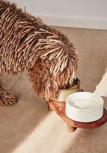 KAVE HOME Dumbi drikke- og matskler for kjledyr med stativ - flerfarget keramikk/akasie (sett med 2)