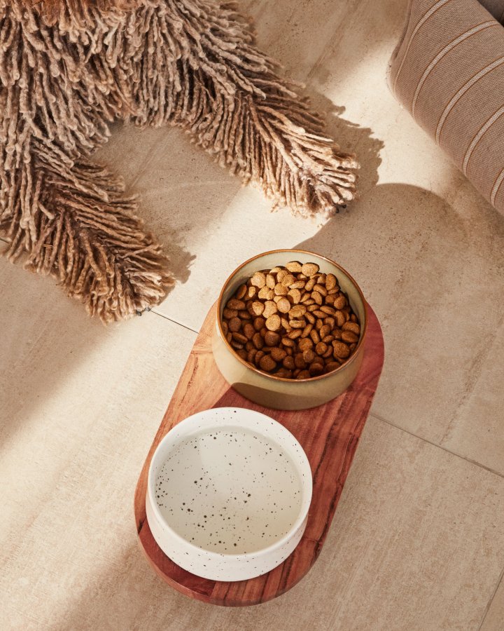 KAVE HOME Dumbi drikke- og matskler for kjledyr, runde - flerfarget keramikk (sett med 2)