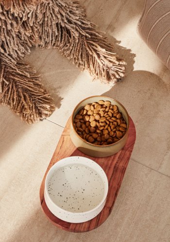 KAVE HOME Dumbi drikke- og matskler for kjledyr med stativ - flerfarget keramikk/akasie (sett med 2)