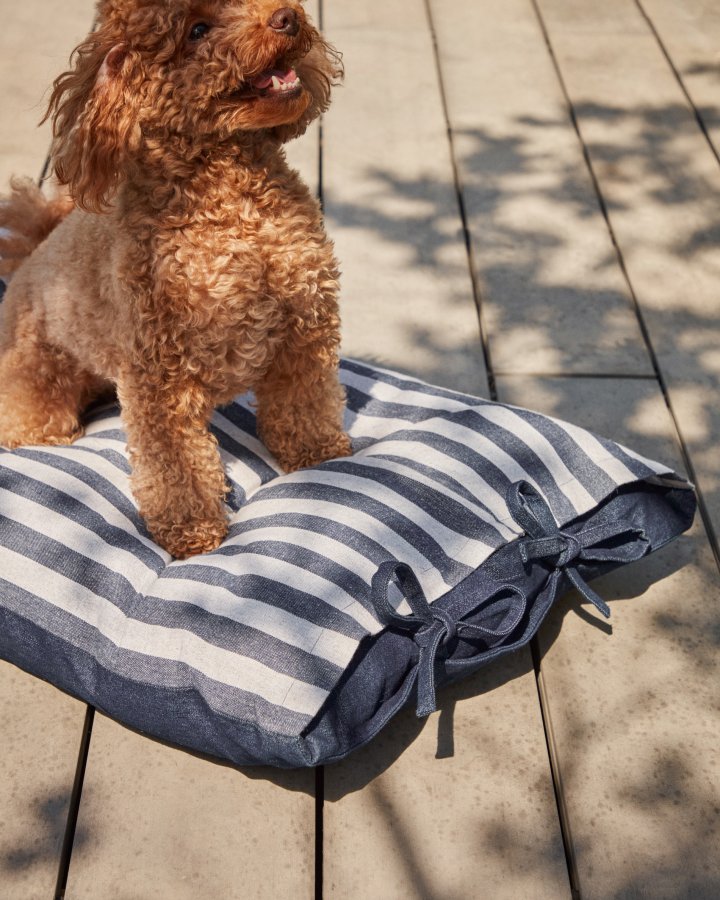 KAVE HOME Tabby-pute for kjledyr, rektangulr - hvite og bl bomullsstriper (60x40)